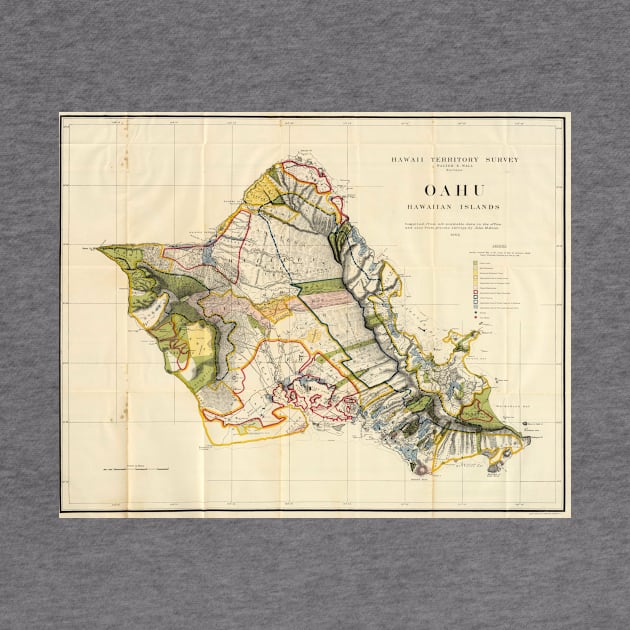 Vintage Map of Oahu Hawaii (1906) by Bravuramedia